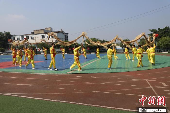 传统民俗龙舞运动会，文化与运动的完美结合的简单介绍