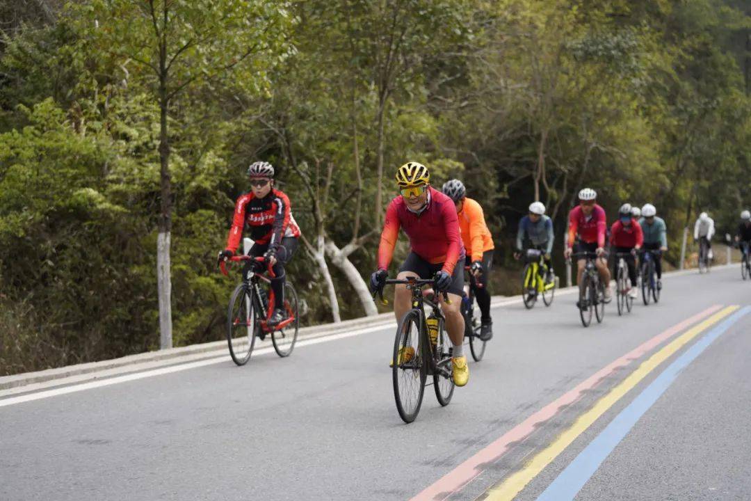 特色环湖骑行节，畅享春季自然风光的简单介绍